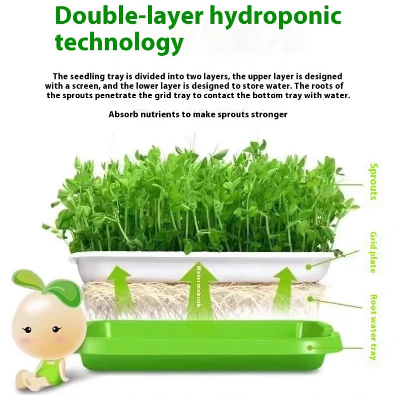 no-soil sprouting system