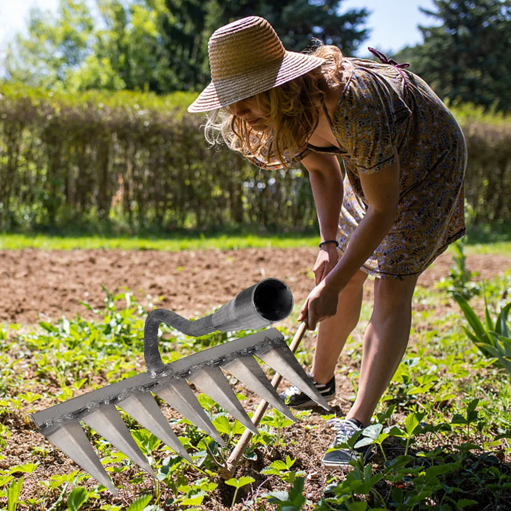 garden weeder tool
