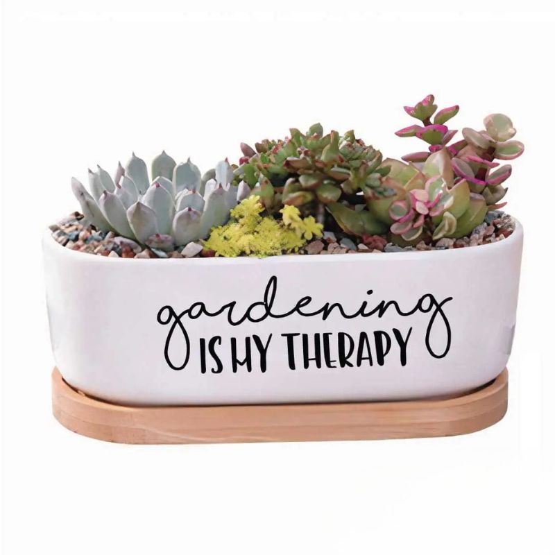 Emotional support plant