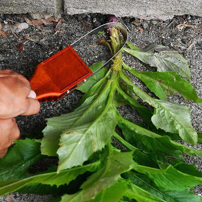 Best weeder for deep roots