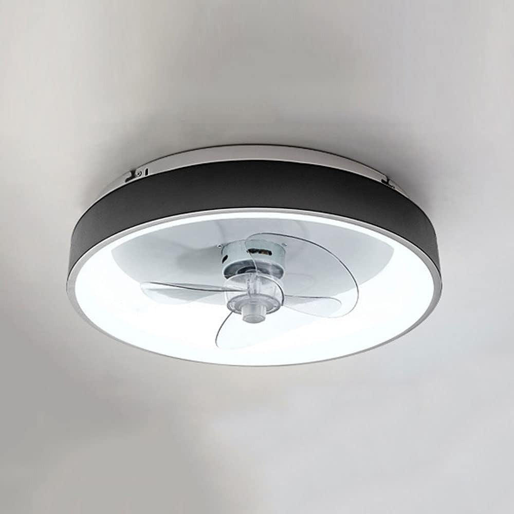 decorative ceiling fan light combo