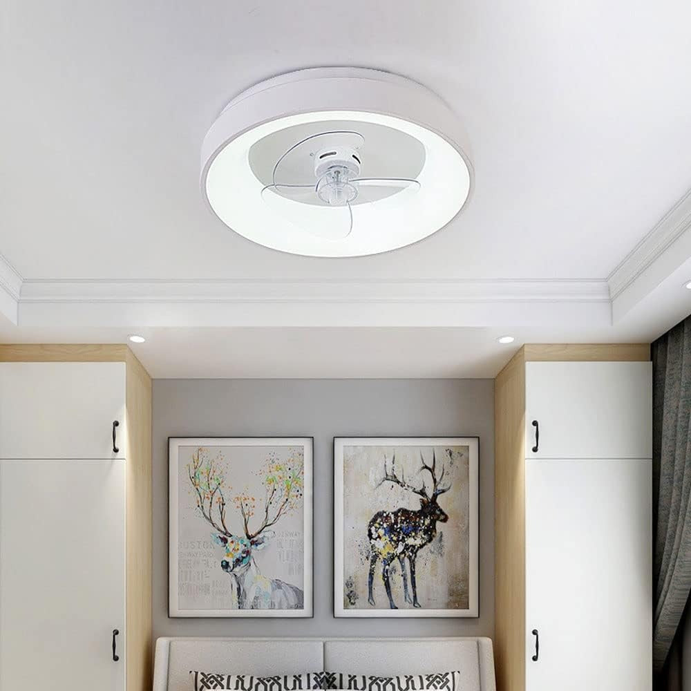 fan lamp for modern decor