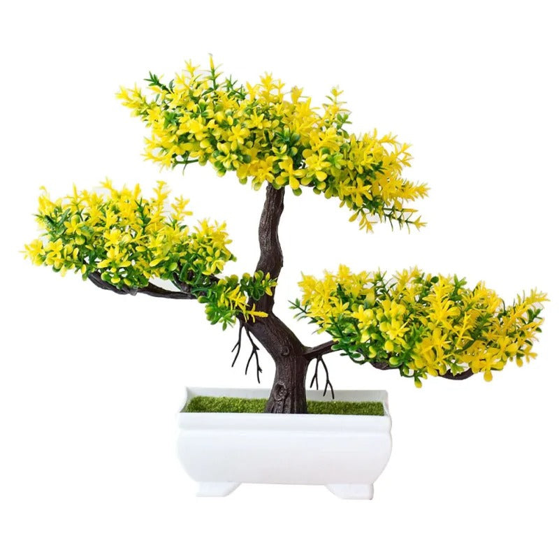 Office desk bonsai