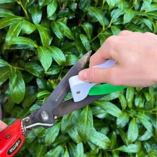 knife and tool sharpener