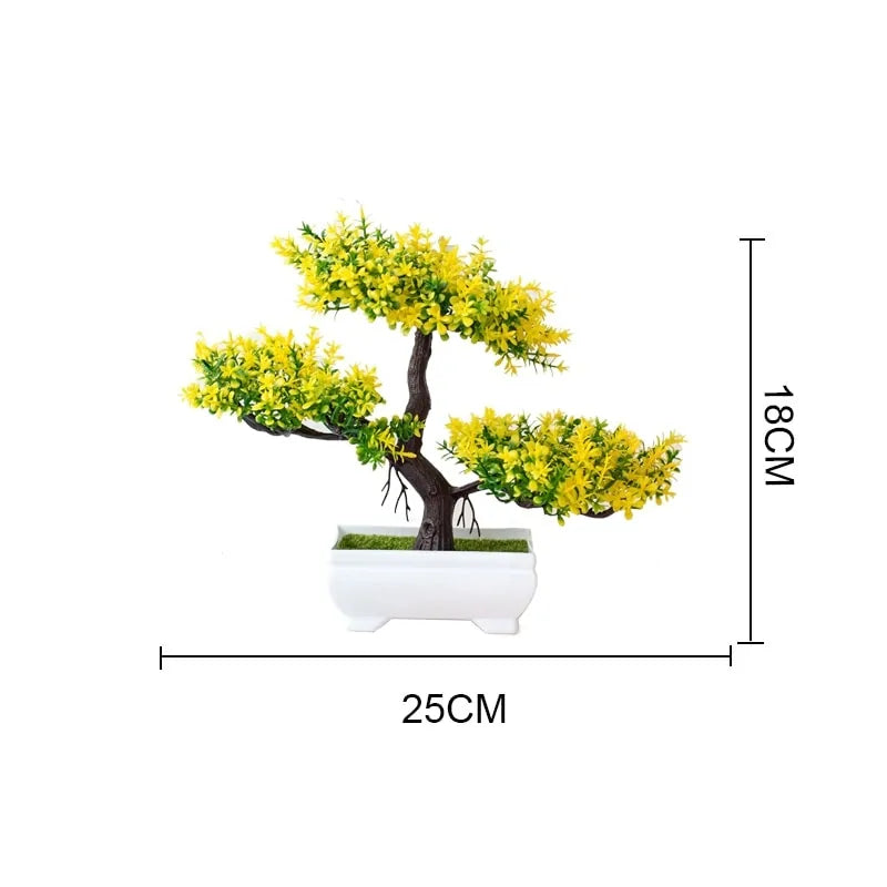 Bonsai tree gift