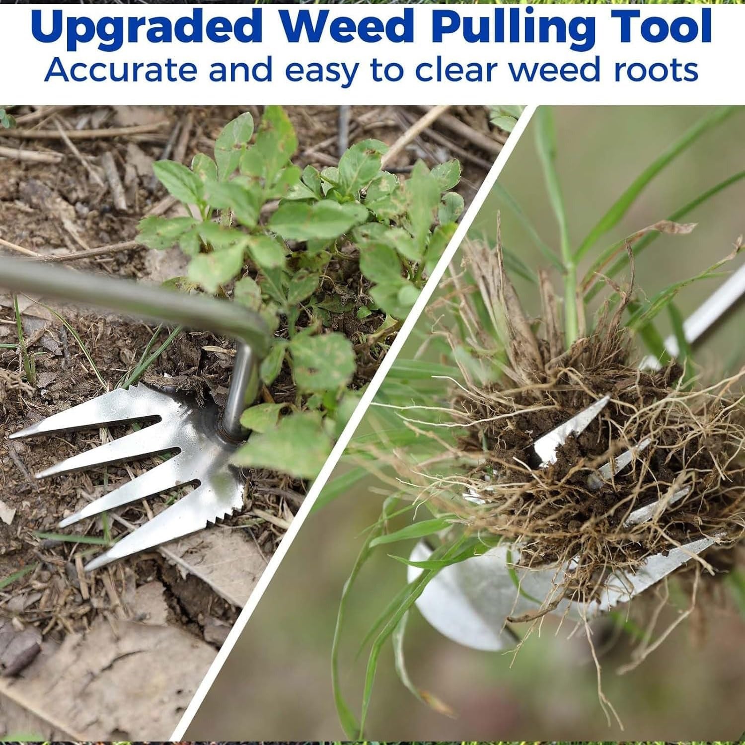 four tooth garden tool