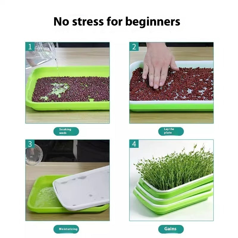 wheatgrass growing tray